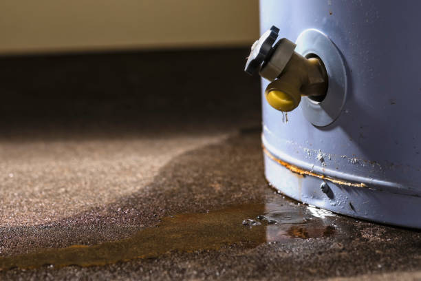 Best 24/7 water damage repair  in Berlin, WI