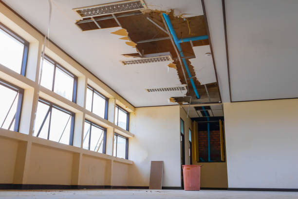 Best Mold removal after water damage  in Berlin, WI