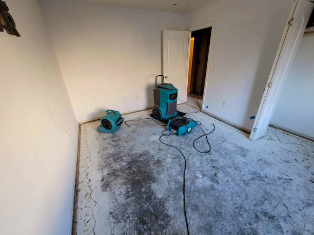 Best Fire Damage Restoration  in Berlin, WI