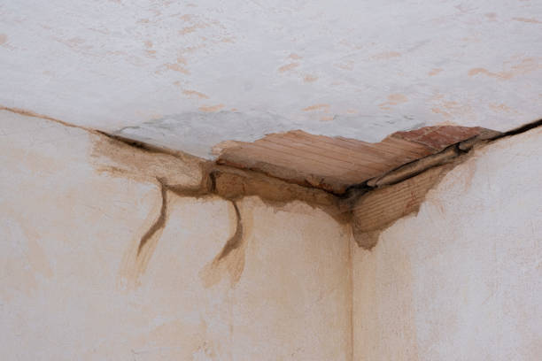 Best Water damage contractors near me  in Berlin, WI