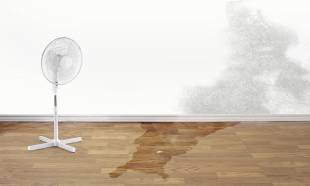 Best Flooded house restoration  in Berlin, WI