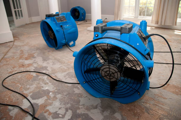 Best Water damage restoration near me  in Berlin, WI