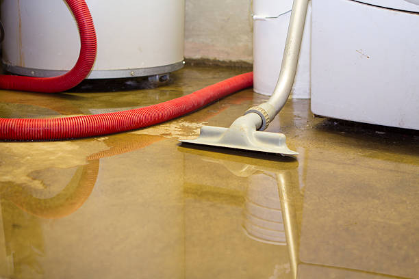 Best 24-hour water damage restoration  in Berlin, WI