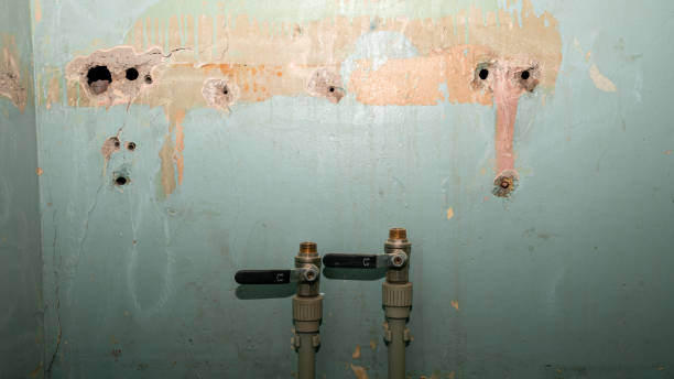 Best Emergency water extraction  in Berlin, WI