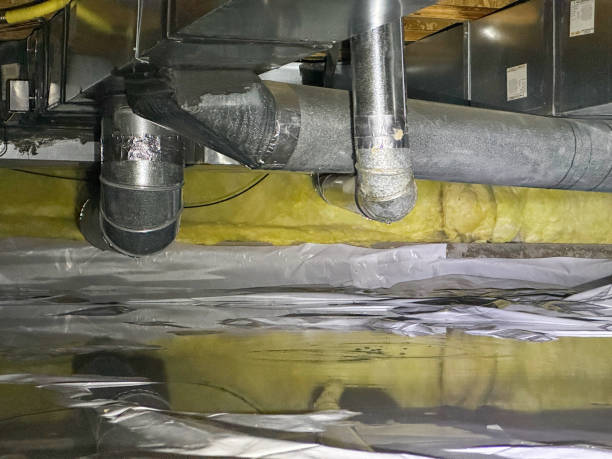 Best Carpet water damage restoration  in Berlin, WI