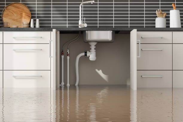 Best Water damage cleanup near me  in Berlin, WI