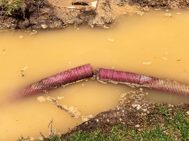 Best Flood damage cleanup  in Berlin, WI